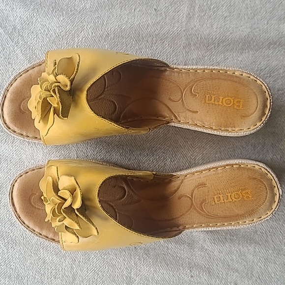 Born mustard slides - Picture 5 of 5